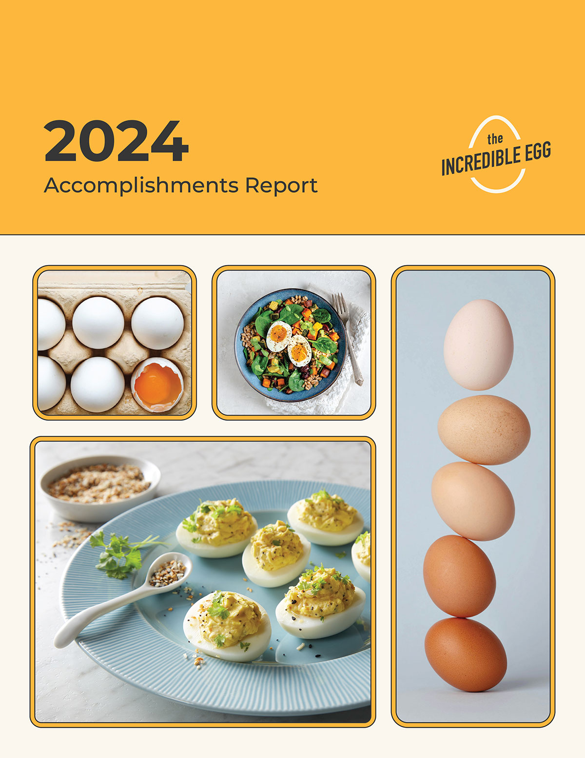 Cover of 2023 Accomplishments Report