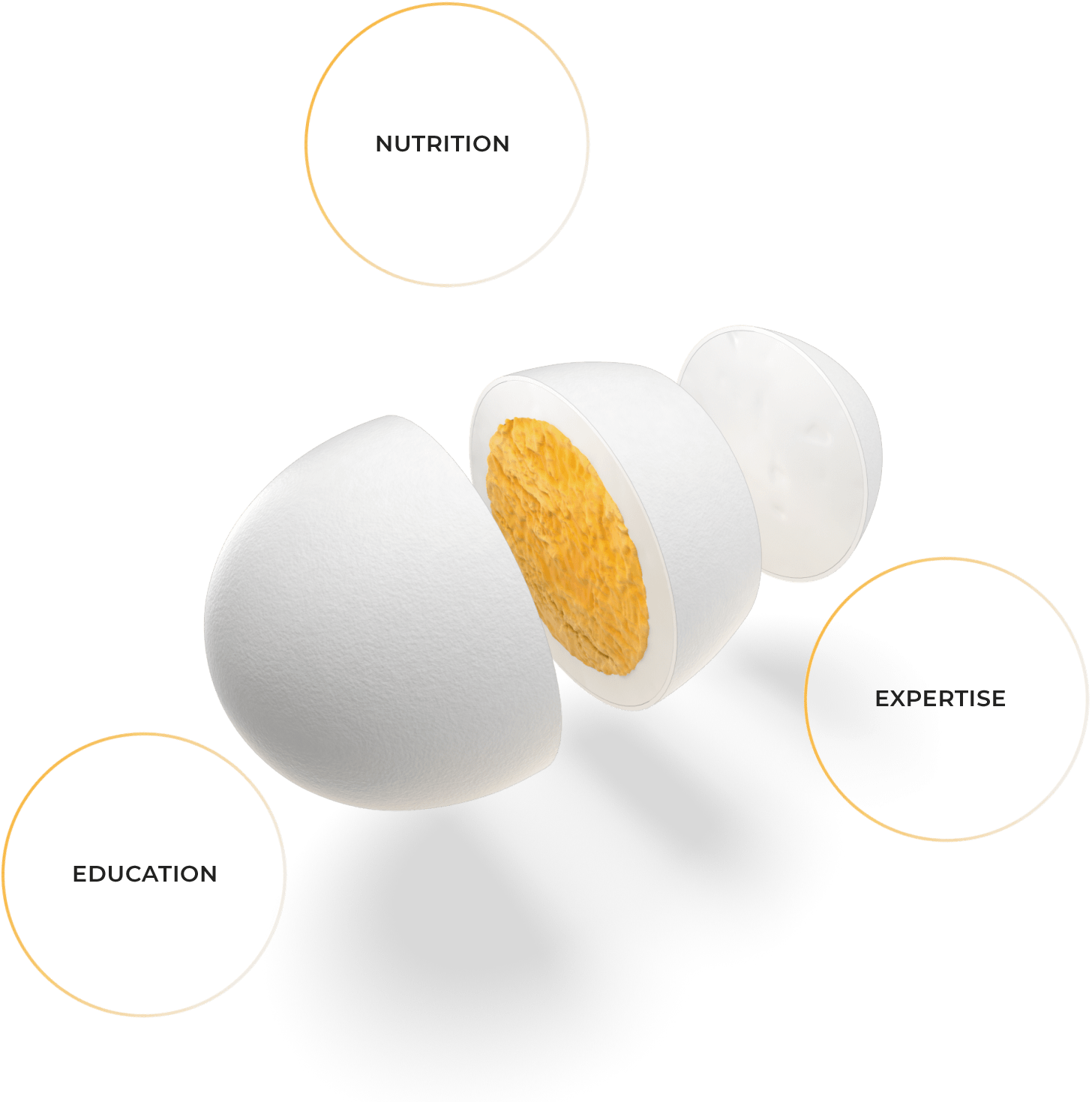 Nutrition - Education - Expertise